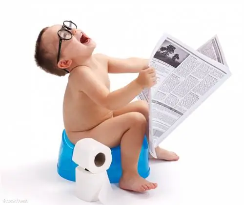 Stockfresh 1598366 маленький мальчик сидит на горшке с газетой si