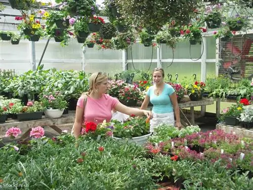 stockfresh 488271 магазины-сестры sizeM