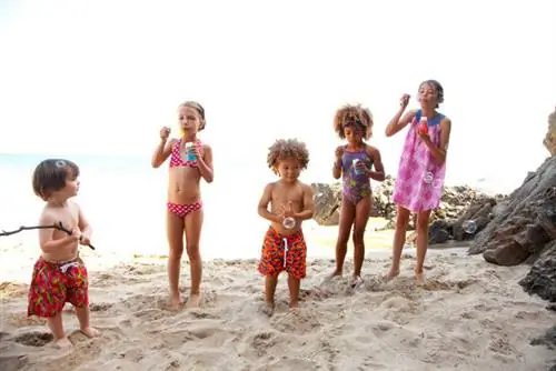 Веб Стелла Коув 11 мая 0995