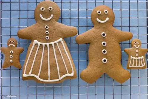 tk3s mon053070 копия