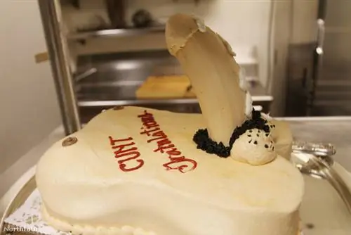 Торт в форме пениса также нельзя пропустить