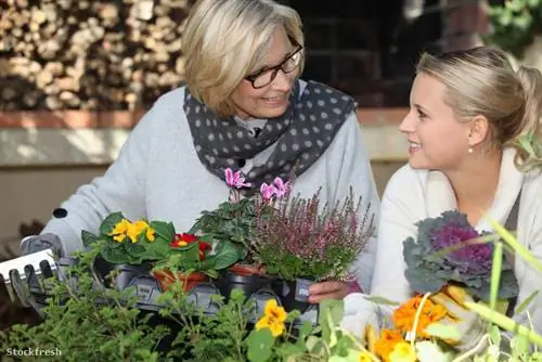 stockfresh 1654863 бабушка-и-помощница по дому sizeM 46b252