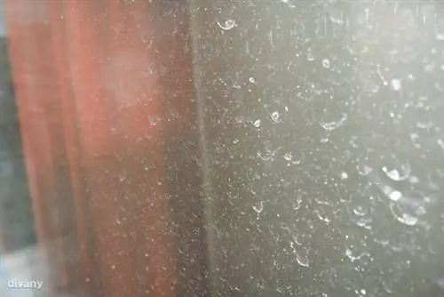 Помойте окна быстро и недорого