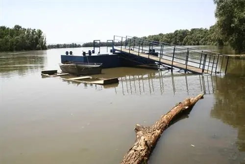 Романтика джунглей всего в трех часах езды от Пешта