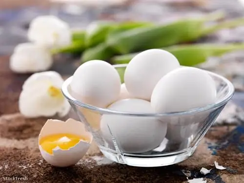 Stockfresh 1195825 стеклянная чаша, полная сырых яиц на грязной поверхности