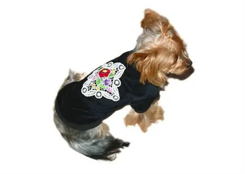 Традиционный круг