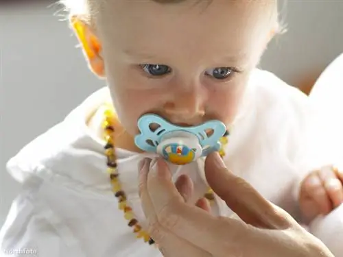 тк3с 56-1017901029