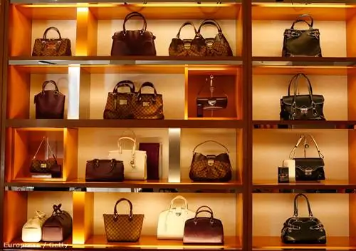 Создайте собственную сумку Louis Vuitton