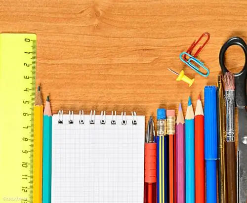 Stockfresh 1561569 обратно в школу sizeM