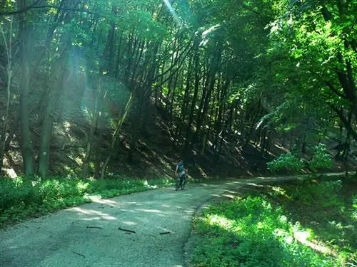 Восемьдесят километров с велосипедом и ребенком
