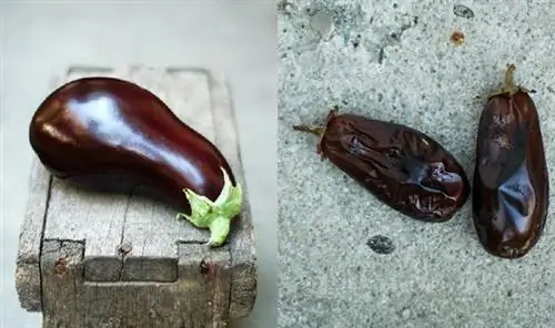 3 баклажана