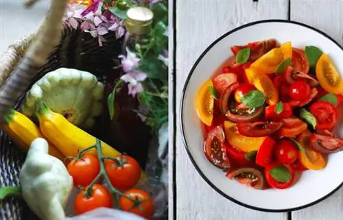 4 бобовые масляные бобы