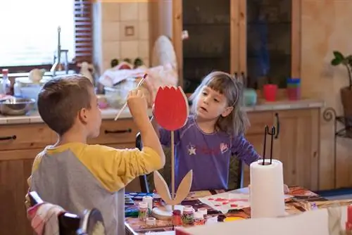 Янка и Золчи создают