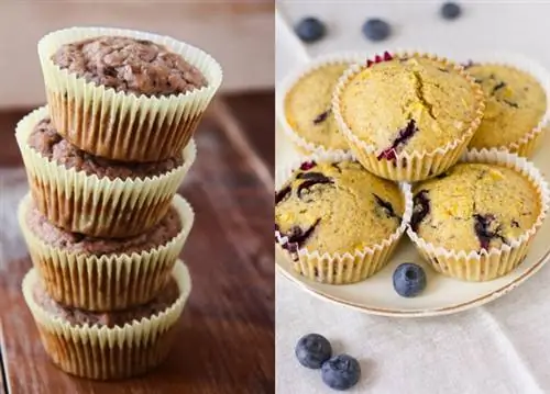 Фото: Зита Надь - zizikalandjai.com