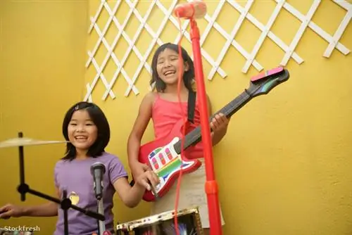 Stockfresh 316189 live-concert-at-home-two-little-girls-playing