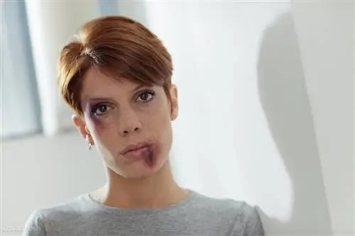 Почему ты не уходишь, когда тебя бьют?