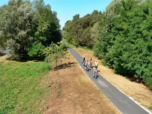 езда на велосипеде