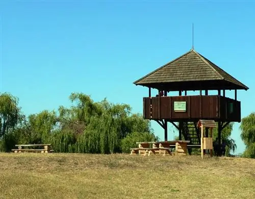 велосипедная дорога