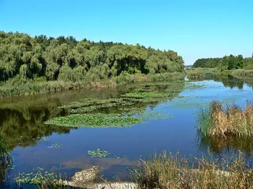 велосипедная прогулка 2