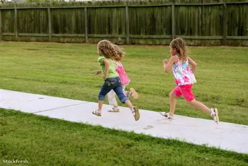 Stockfresh 316156 три сестры девочки играют бег в парке