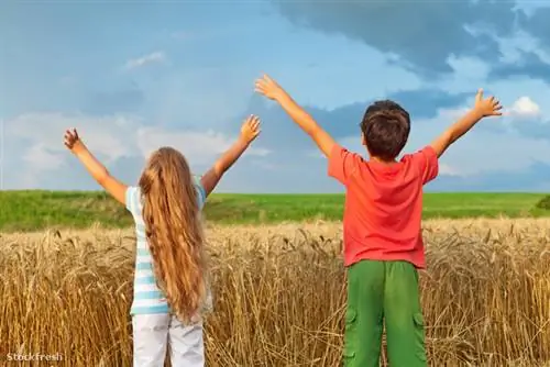 Stockfresh 1346303 inspire-freshness sizeM