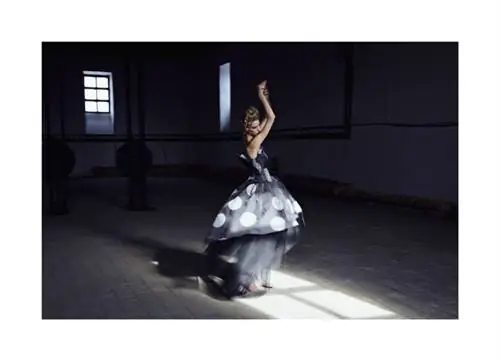 ImageЭто не шоу-одежда, так как она предназначена для ношения, но все же эффектная одежда