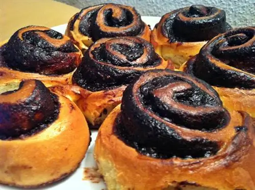 Улитка какао, для искателей популярности