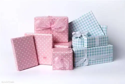 stockfresh 139758 синий-и-розовый-детские подарки sizeM