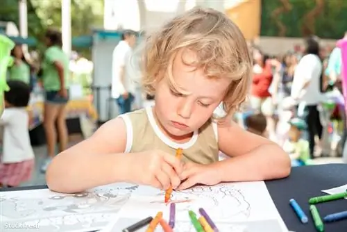 TSMT и Delacato - двигательная терапия, часть третья