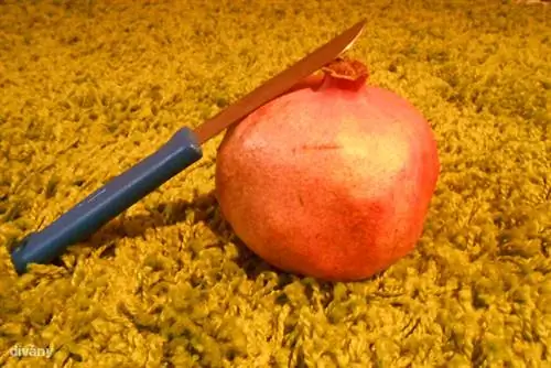 Путеводитель по странным фруктам: гранат