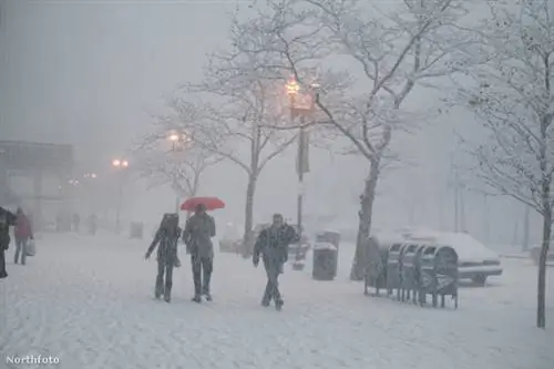 тк3с 061сду10270