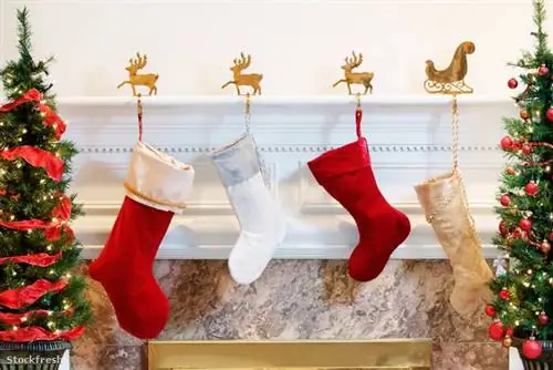 Должны ли мы лгать о Санта-Клаусе?