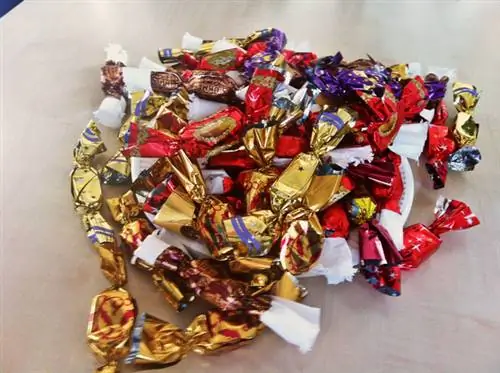 конфеты с беконом 3