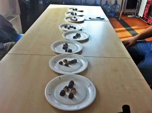 Они стартовали с равными шансами