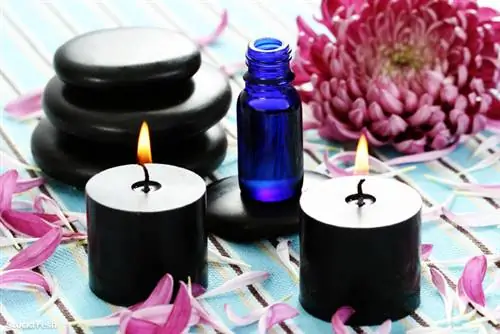 Stockfresh 838502 дзен-подобный размерM