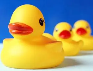 фталатоопасные утки