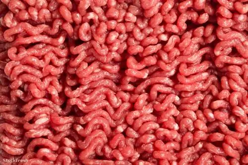 Измельчение увеличивает площадь поверхности мяса, болезнетворные микроорганизмы легче размножаются на большей площади поверхности