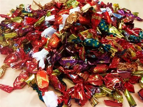 В погоне за лучшими желейными конфетами с беконом