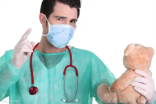 Stockfresh 2081290 доктор-увещевание-плюшевый мишка sizeM