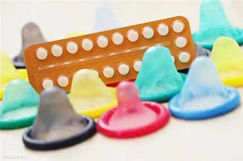 Оставим пчел и аиста в покое