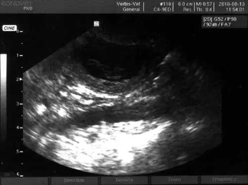 Это изображение предназначено только для иллюстрации. До