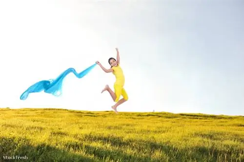 stockfresh 866564 движение на зеленом лугу в природе sizeM