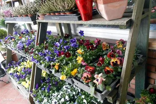 Женский день: где и что купить?