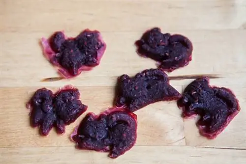 02-гумми-130307-IMG 2156