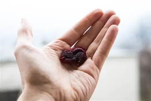 Готовьте жевательные конфеты дома