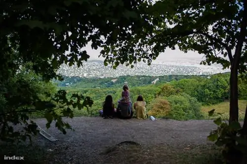 Отправляйтесь на прогулку под весенним солнцем