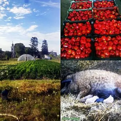 В близлежащем поселке наряду с работой жители обрели и самоуважение