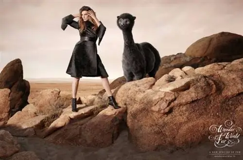 Цена куртки нигде не указана, но исходя из остального она тоже не две копейки