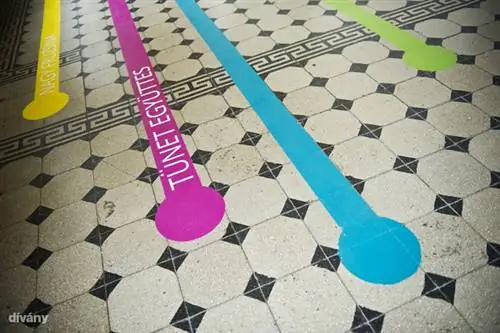 Инкубатор, а не Ноев ковчег