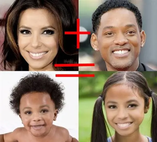 лонгория плитка